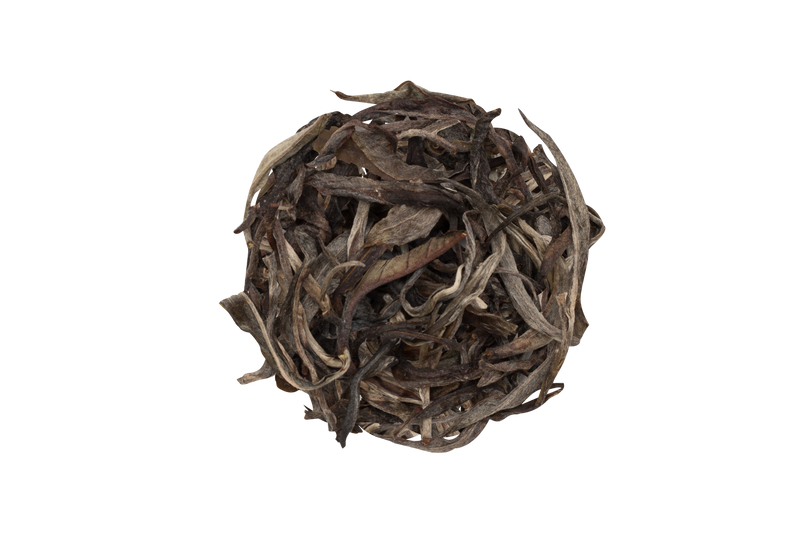 Silk Tea